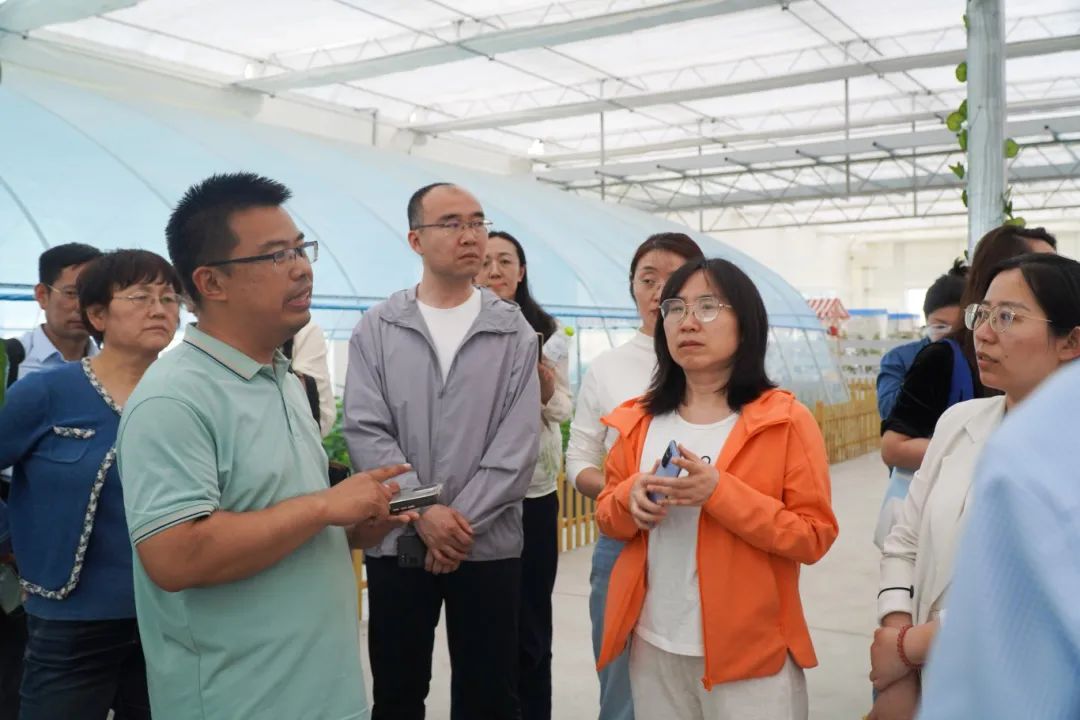 DSC00394.jpg DSC00394.jpg